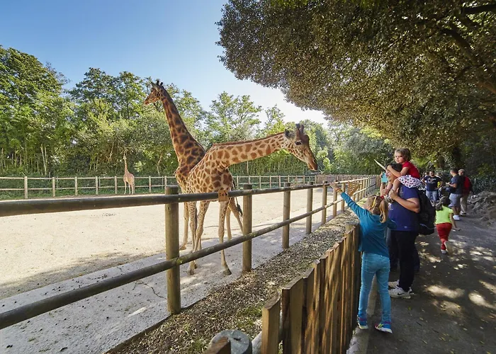 Maison Familiale Pour 6, Veranda Et Jardin * Шато-д'Олон